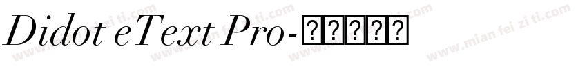 Didot eText Pro字体转换